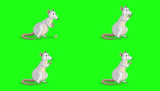 小白鼠坐着吃奶酪动画高清在线视频素材下载