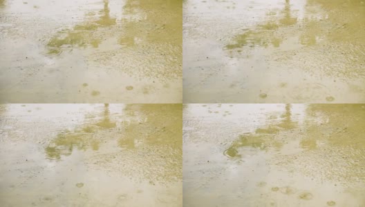 大雨滴落在潮湿的沥青表面的特写。潮湿的水坑和水泡高清在线视频素材下载