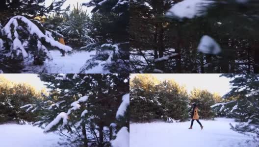 在松树林中奔跑的女人高清在线视频素材下载