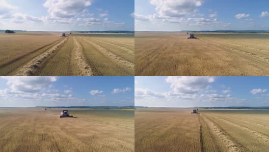 谷物收割机收割小麦的过程。有谷类作物的大片田野。季节性的农活，务农活动。航空摄影。高清在线视频素材下载