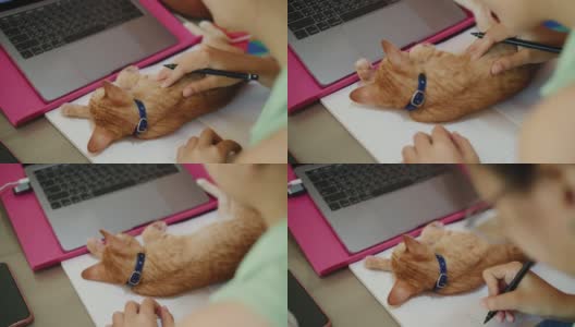 一个亚洲女人在家用电脑远程工作，小猫睡在她的桌子上。社交距离概念在covid-19疫情下独自在家工作。高清在线视频素材下载