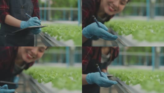 年轻妇女正在用数码平板电脑检查有机蔬菜高清在线视频素材下载