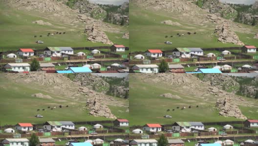 蒙古镇旁草地上的牦牛群高清在线视频素材下载
