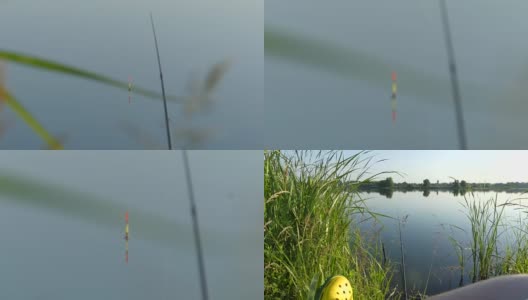 钓鱼时在水中放置钓竿的浮子。水中的浮子表明鱼在上钩。浮子沉到水下。高清在线视频素材下载