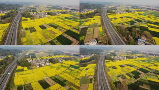 鸟瞰图的中国乡村景观在春天油菜种子盛开和村庄在高速公路高清在线视频素材下载