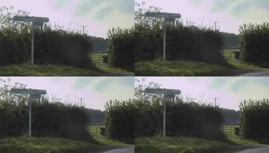 英国乡村中部的一个老路标，在乡间路上的门口有一头奶牛高清在线视频素材下载