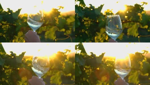 意大利托斯卡纳。在慢镜头的特写镜头中，葡萄园里拿着一杯白葡萄酒高清在线视频素材下载