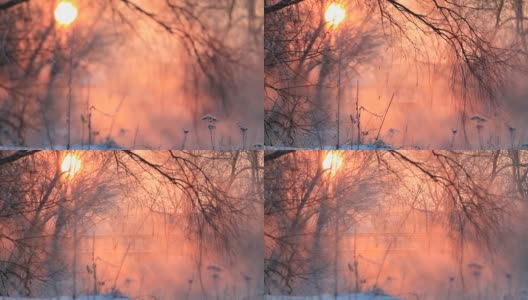美丽的冬天日出在河与雾高清在线视频素材下载