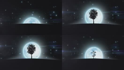 月光下的树。HD 1080。高清在线视频素材下载