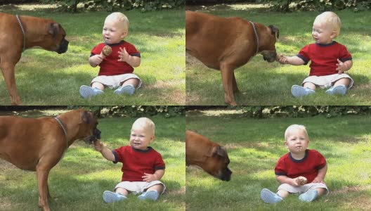 一个一岁的小男孩和狗分享冰淇淋高清在线视频素材下载