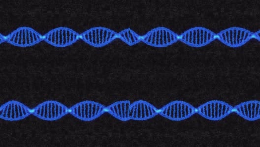 用于科学网络空间多媒体的蓝色DNA链纺丝摘要高清在线视频素材下载