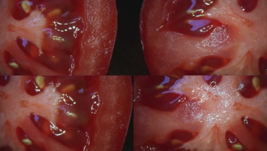 从左到右的番茄内部的极端特写高清在线视频素材下载