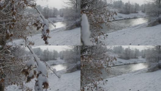 克雷姆斯河的灌木在冬天结了冰露珠高清在线视频素材下载
