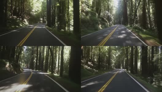 开车穿过红木森林高清在线视频素材下载