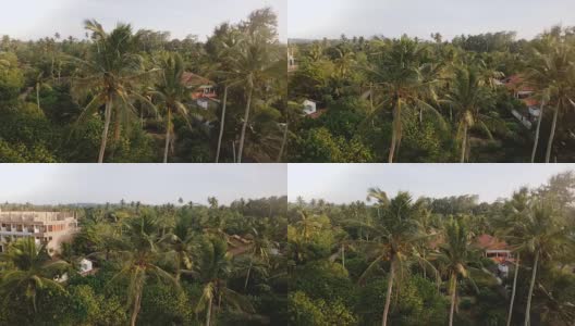 无人机在巨大的绿色椰子树和热带度假酒店和异国情调的阳光度假岛上的房子周围飞行高清在线视频素材下载
