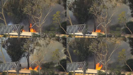 洛杉矶丛林大火高清在线视频素材下载