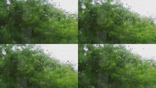 雨滴落在窗户上的4K原始视频，在绿树摇曳的散景背景下特写。高清在线视频素材下载