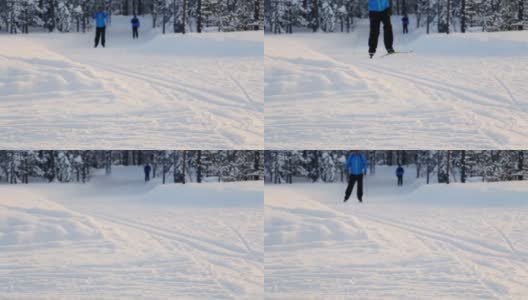 冬季森林滑雪之旅高清在线视频素材下载