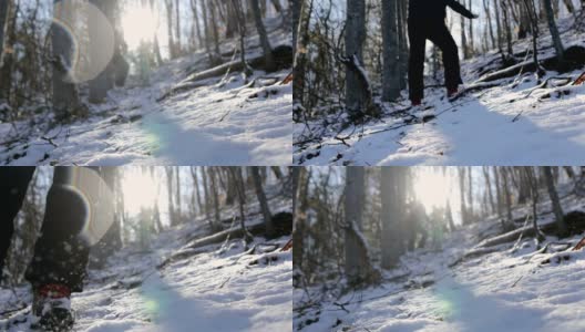 踏在山上的雪里。迷失在森林里高清在线视频素材下载