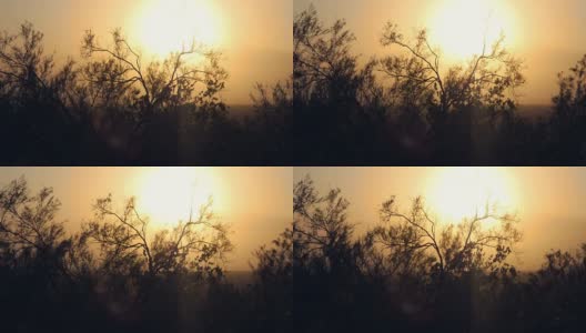 沙漠刷Silohuette对朦胧的日落高清在线视频素材下载