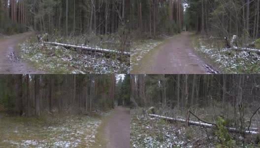 森林冰冻混乱的视频高清在线视频素材下载