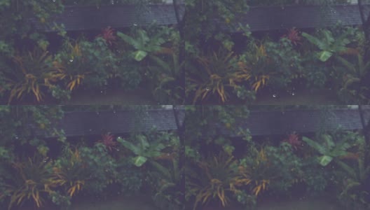 慢镜头，DOF:最后的小雨滴落在郁郁葱葱的后院。高清在线视频素材下载