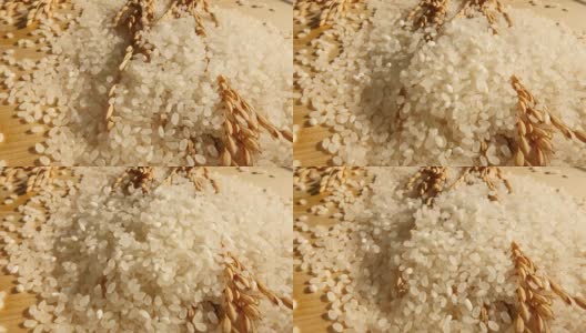 将大米倒在稻穗上高清在线视频素材下载