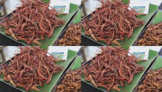可食用烤五香粉蚱蜢。泰国街头小吃油炸虫子高清在线视频素材下载