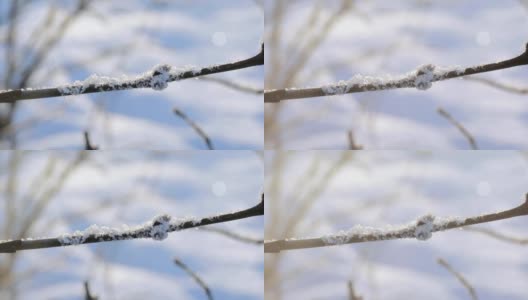 雪覆盖的分支高清在线视频素材下载