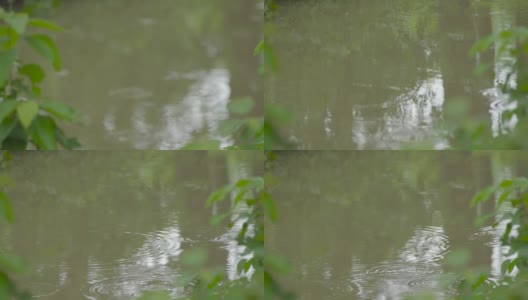 流水边一片树叶的生命高清在线视频素材下载