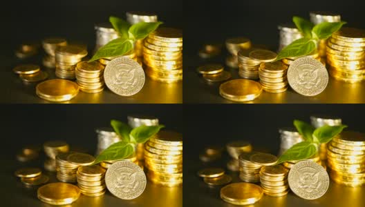 黑色背景上的金币和嫩芽的绿叶。成功的金融业务，抵押和银行概念高清在线视频素材下载