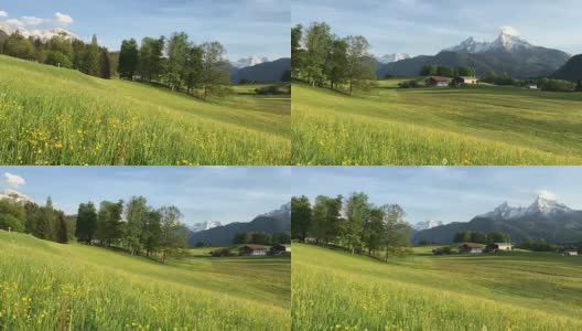 春天，高山和盛开的草地是田园诗般的高山风景高清在线视频素材下载