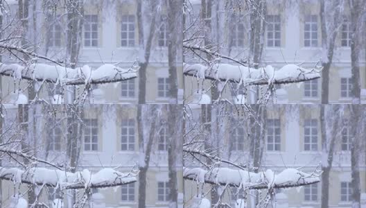 这个城市下大雪高清在线视频素材下载