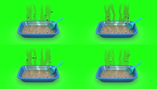 脏猫砂盆。3D动画。绿屏,loopable。高清在线视频素材下载