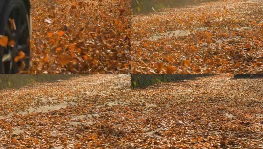秋风过后，树叶在空中打转高清在线视频素材下载