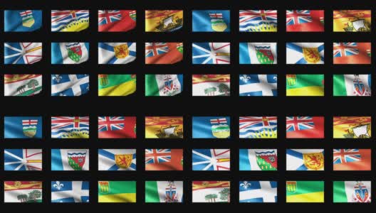 加拿大国旗飘扬高清在线视频素材下载