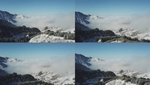 雪林在山上，云朵在上面高清在线视频素材下载