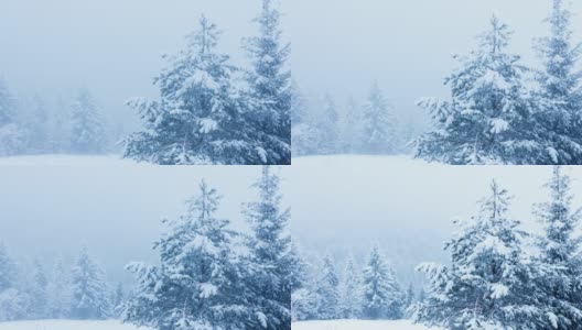 美丽的冬天的风景高清在线视频素材下载