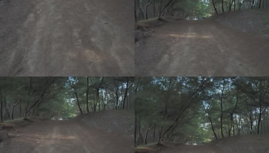 倾斜的小路在冷杉林松树云杉松树高清在线视频素材下载