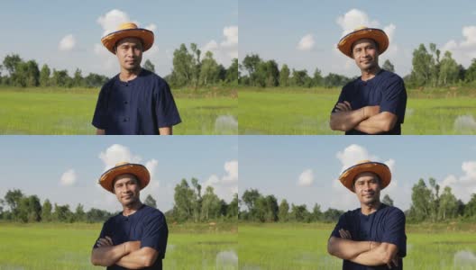 年轻的农民站在稻田里，双臂交叉高清在线视频素材下载