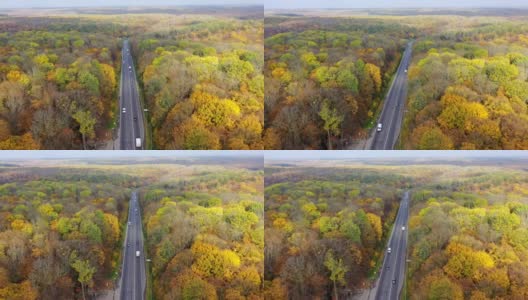 高速公路间秋日自然风光。道路与汽车在五颜六色的树林。秋天在树林里旅行。鸟瞰图。高清在线视频素材下载