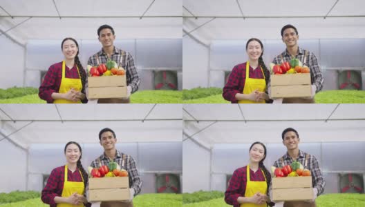 肖像年轻的亚洲夫妇拿着箱子与蔬菜。高清在线视频素材下载