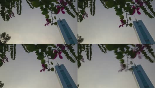 日落时间浪漫时刻花天空广州市市中心建筑顶部时间推移全景4k中国高清在线视频素材下载