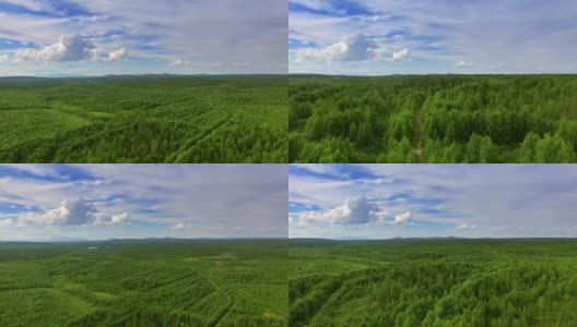森林和草地的鸟瞰图高清在线视频素材下载