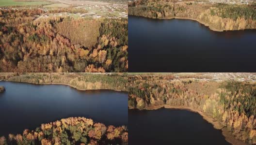 鸟瞰图的秋季海岸森林。高清在线视频素材下载