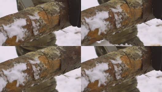 一个人用手锯锯树作为柴火。推迟拍摄。高清高清在线视频素材下载