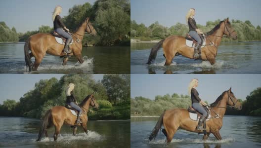 慢镜头:美丽的年轻女子骑着马穿过宽阔的浅河高清在线视频素材下载