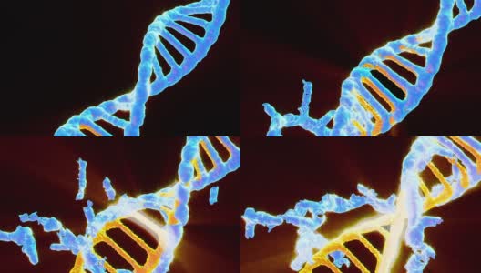 蓝色到橙色的DNA双站代表进化或突变，3D渲染高清在线视频素材下载