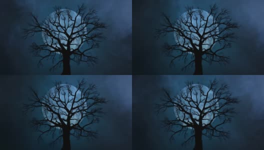 大月亮和孤独的树在夜空中高清在线视频素材下载