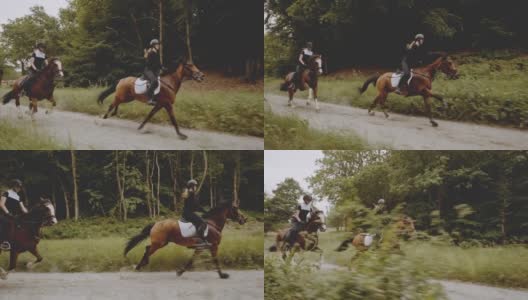 两个金发女骑手骑在敏捷的马在富裕的森林高清在线视频素材下载